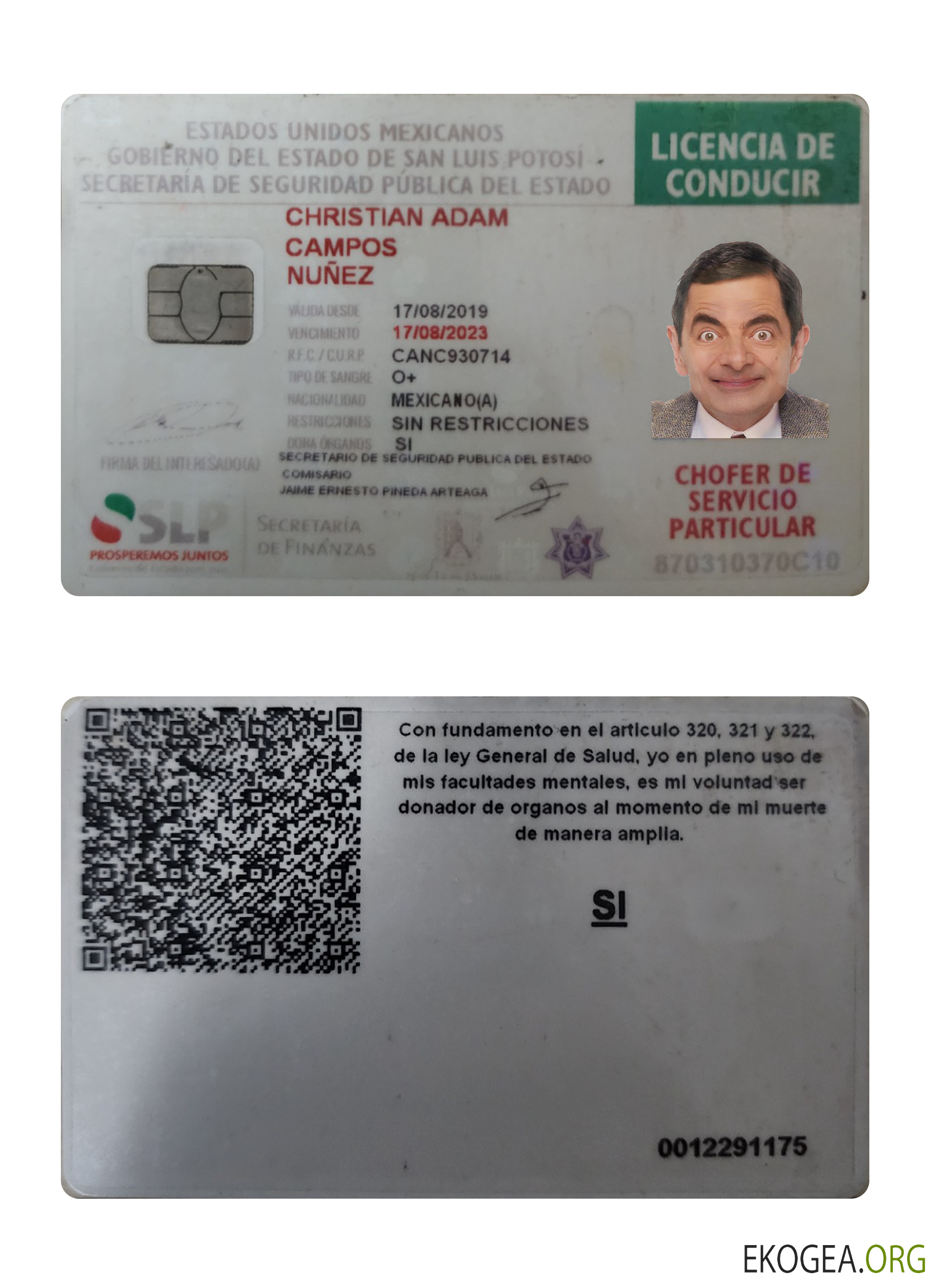 Mexico driving license 2019 present